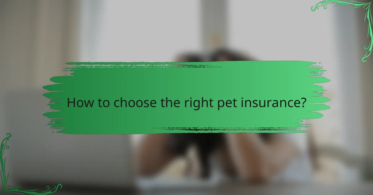 How to choose the right pet insurance?
