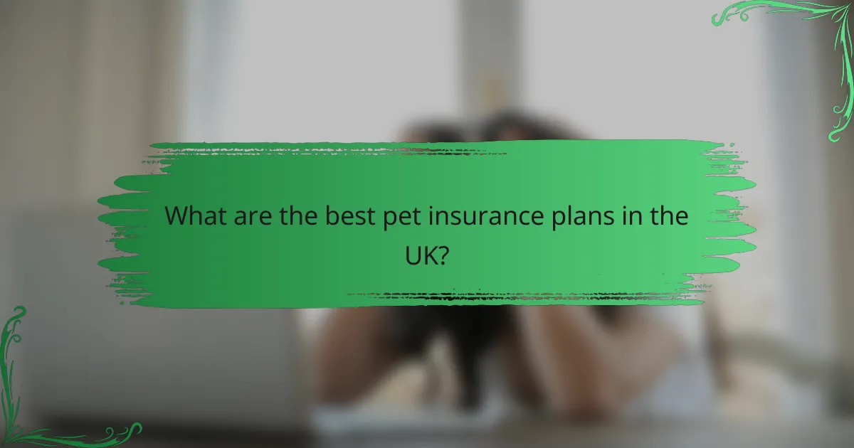 What are the best pet insurance plans in the UK?